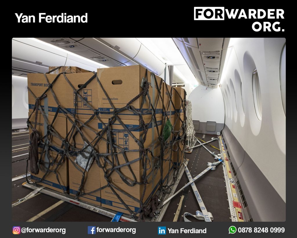 JASA IMPORT RESMI VIA UDARA | FORWARDER ORG