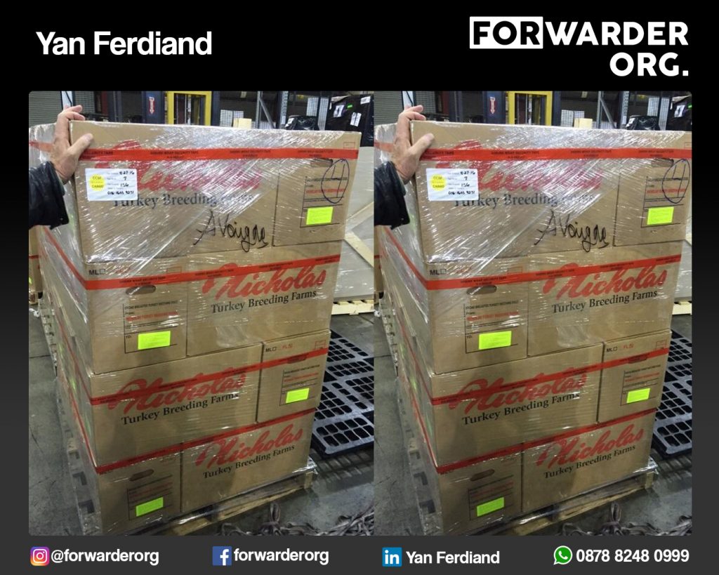 JASA IMPORT BARANG ALIBABA | FORWARDER ORG
